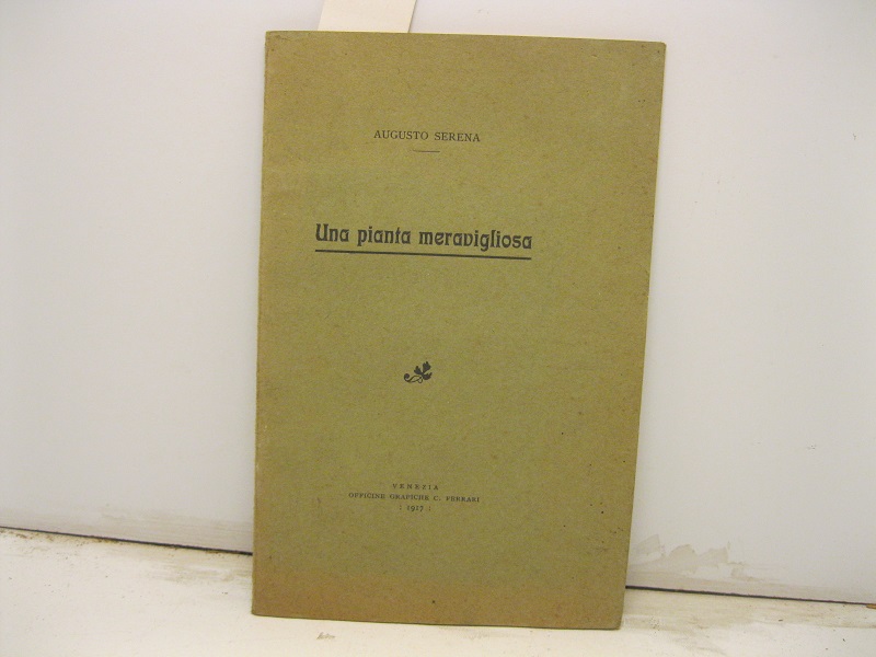Una pianta meravigliosa.